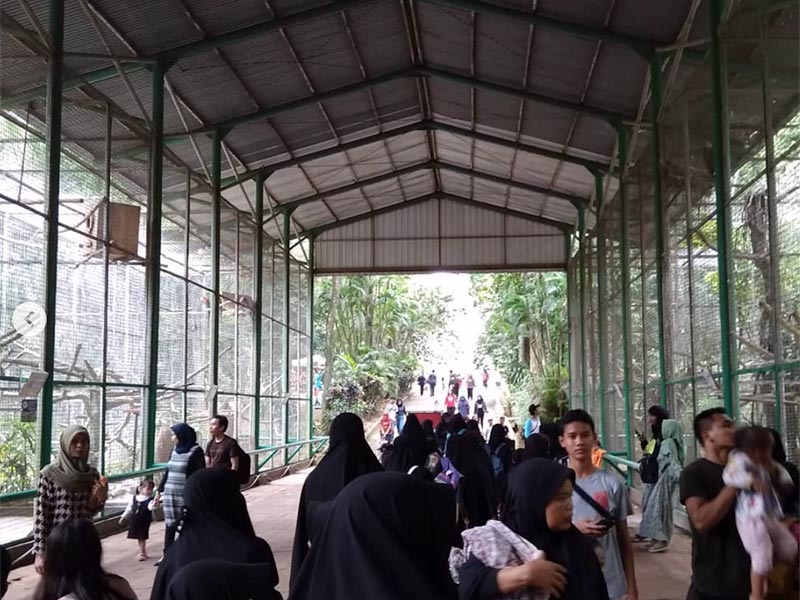 Kunjungan Ke Ragunan